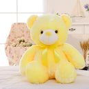 Ursinho Teddy - Brilhante 30cm - Amparo Shopp