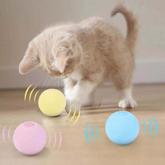 Bola interativa - Brinquedo para gatos - Amparo Shopp